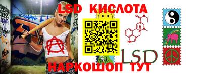 дмт Гай