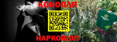 дмт Гай