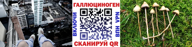 Псилоцибиновые грибы MAGIC MUSHROOMS Заречный